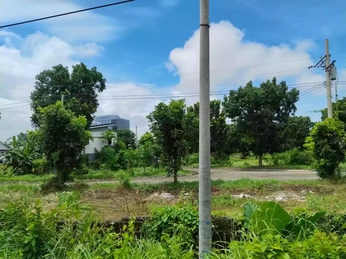 Commercial Lot in Green Meadows — Commercial Lot in Iloilo, Philippines — Photo 6