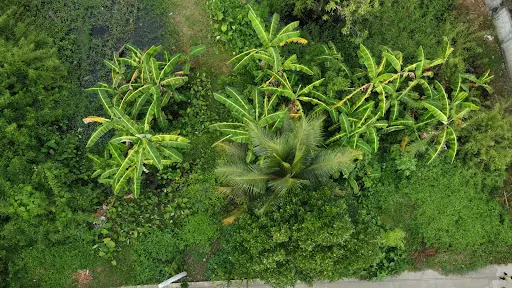 361 sqm Lot few meters away from Gaisano Mall Cagayan de Oro - photo 2