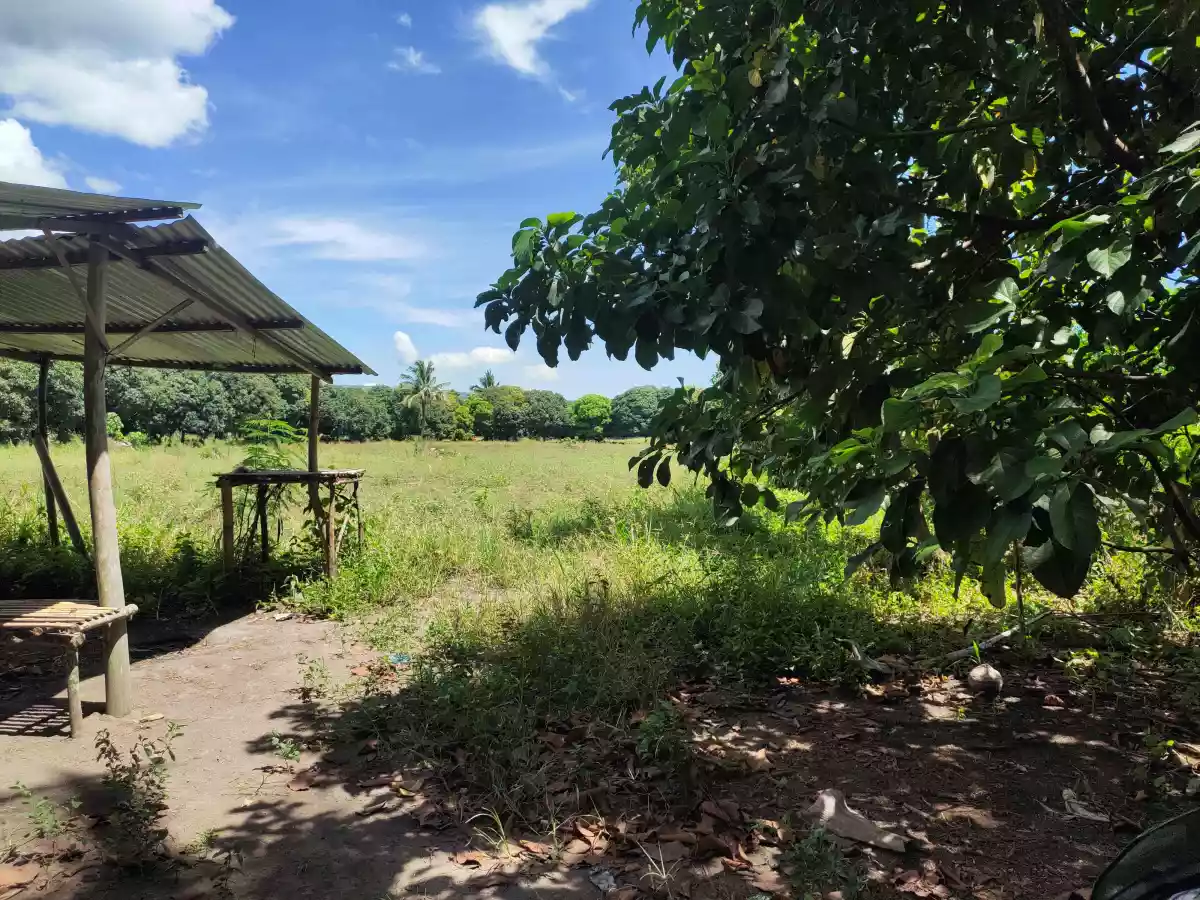 Agricultural Lot Situated at Silway 7, Polomolok, South Cotabato — Agricultural Lot in South Cotabato, Philippines — Photo 2