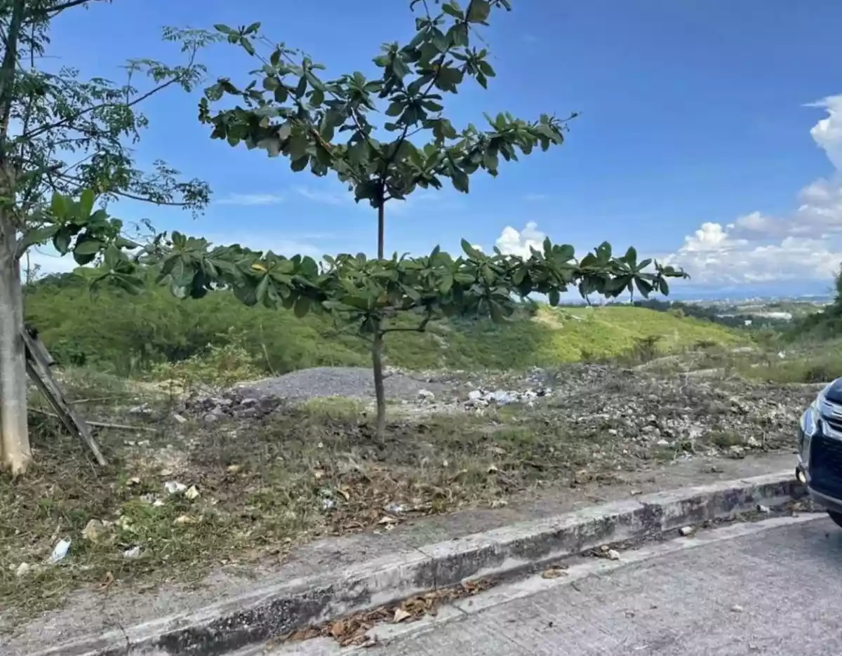 LOT FOR SALE IN VISTA VERDE CONSOLACION - photo 3