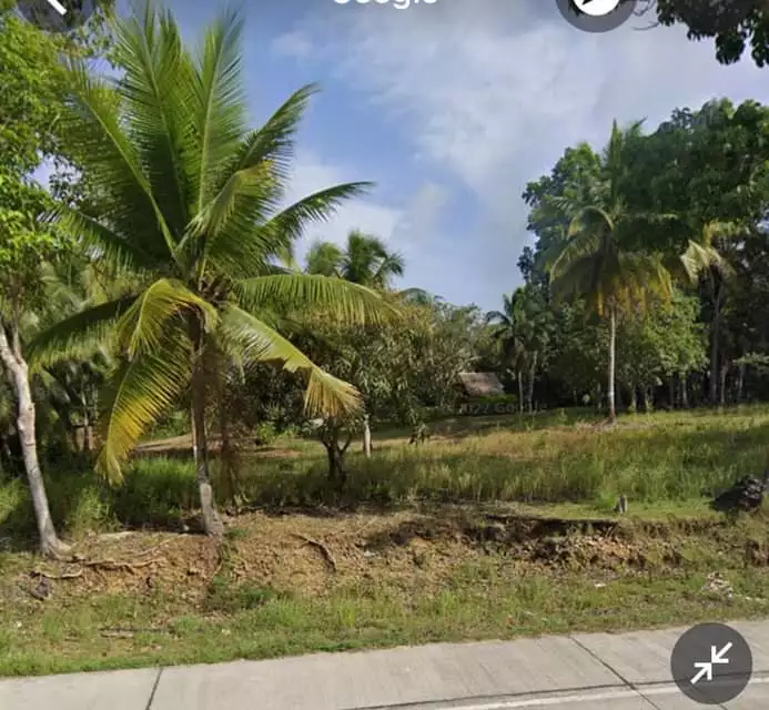 Maribojoc Commercial Lot — Commercial Lot in Maribojoc, Bohol, Philippines — Photo 3