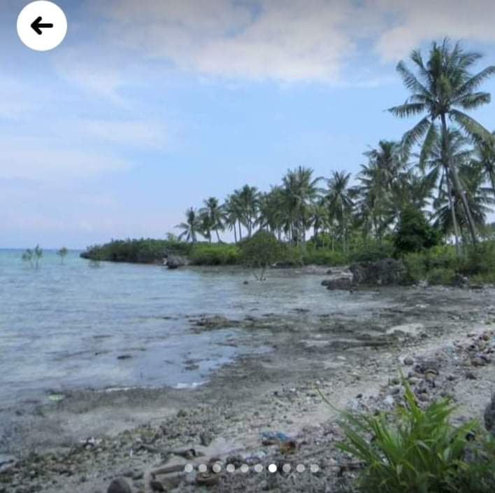 Beach lot Moalboal For Sale - photo 6