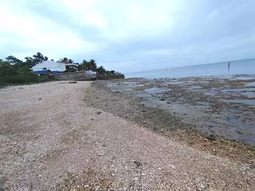 Beachfront lot for sale — Beach Lot in Carmen, Cebu, Philippines — Photo 2