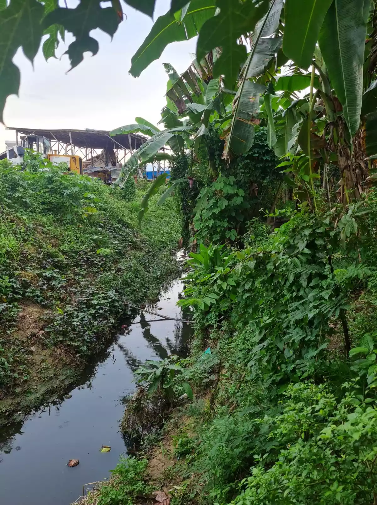 Lot  For Sale in Yati Liloan - photo 3