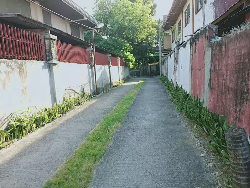 Lot for sale — Residential Lot in Jose Rizal Street, Poblacion, Talisay — Photo 4