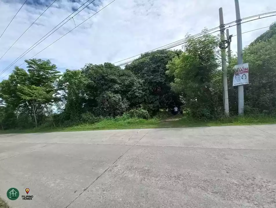 21 Hectare Lot in Calatagan, Batangas — Agricultural Lot in Calatagan, Batangas — Photo 5