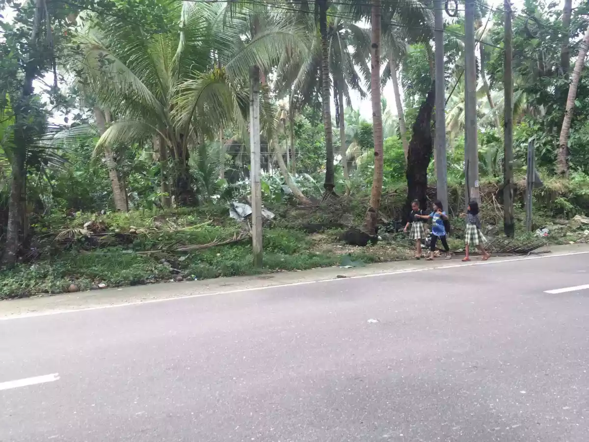 Residential Lot For Sale — Residential Lot in Asturias, Cebu, Philippines — Photo 5