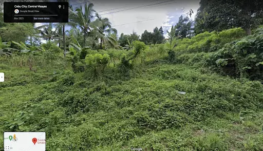 RUSH?? LOT ONLY ?? FOR SALE ?? CLEAN - TITLED ?? CEBU CITY Mountain Barangay (Brgy. Agsungot) — Agricultural Lot in Cebu City, Cebu, Philippines — Photo 5