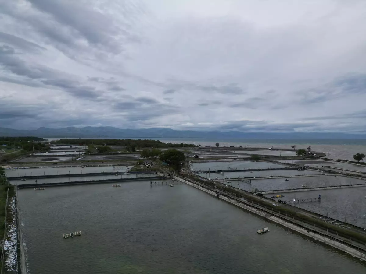 SHRIMP FARM FOR SALE — Agricultural Lot in General Santos City, South Cotabato, Philippines — Photo 2