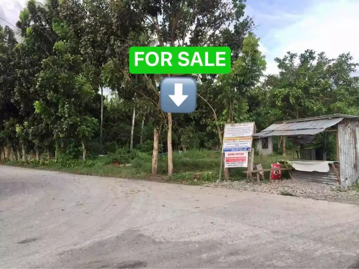 1188sqm at Ligaya along road — Residential Lot in General Santos City, South Cotabato, Philippines — Photo 2