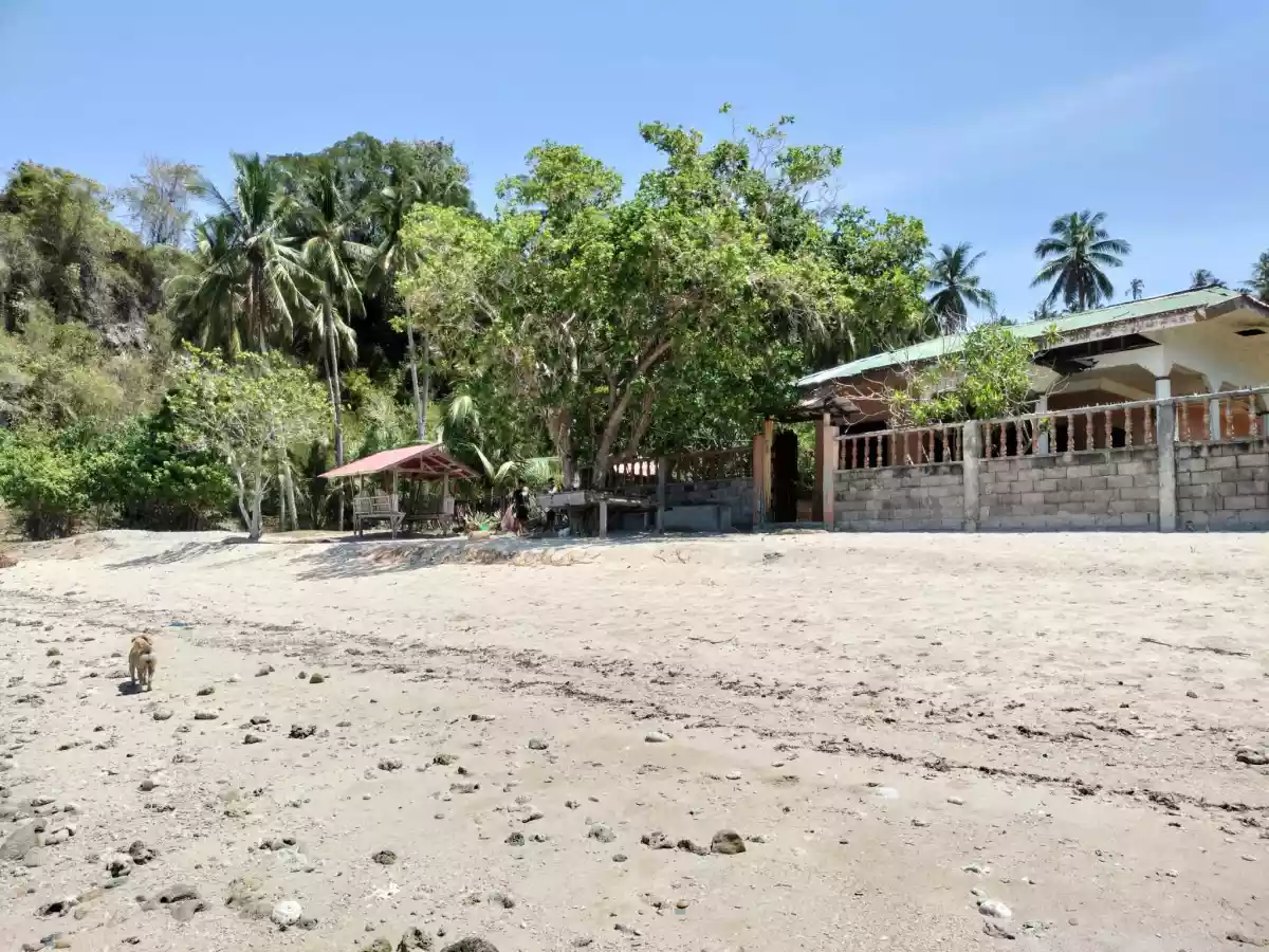 FOR SALE! BEACHFRONT LOT — Beach Lot in Sarangani, Philippines — Photo 5