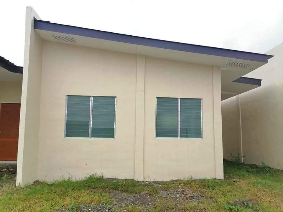 Agan greenville for Assume - photo 2