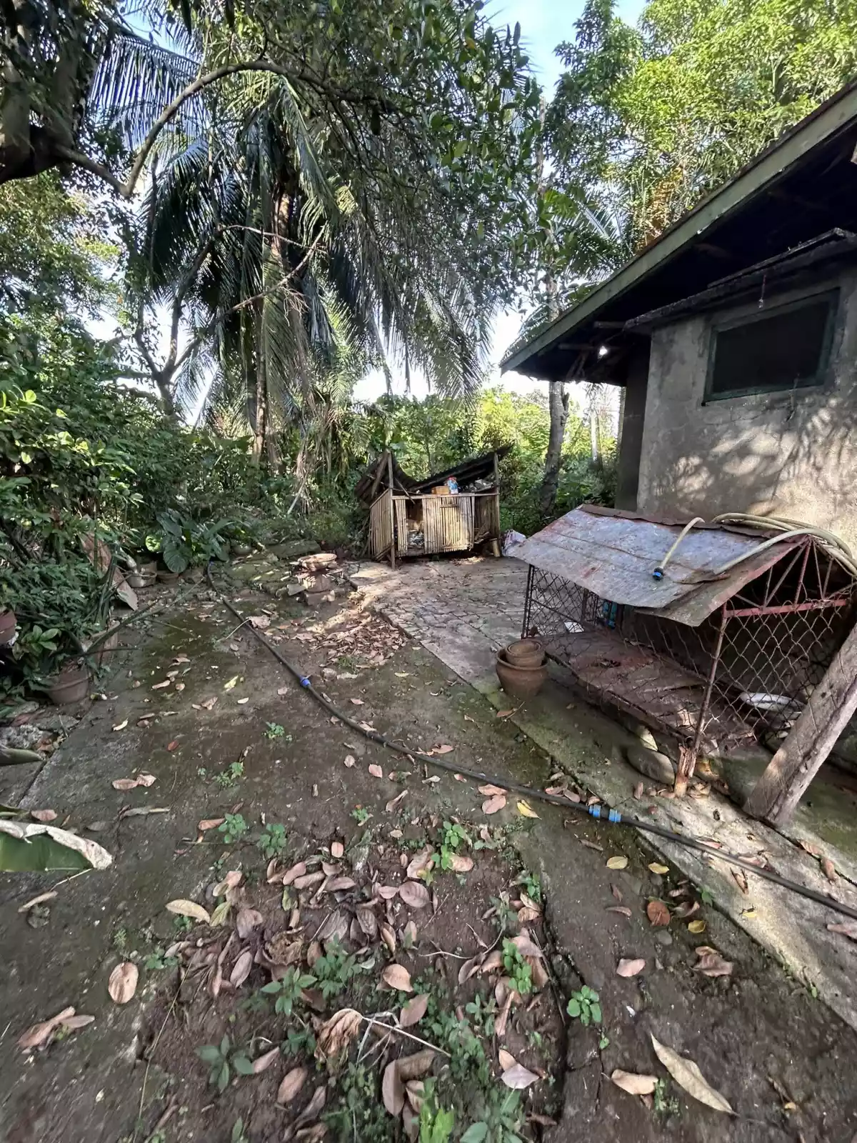 House and lot for sale in Catalunan Pequeño — House and Lot in Davao-Bukidnon Road, Talomo, Davao City — Photo 4