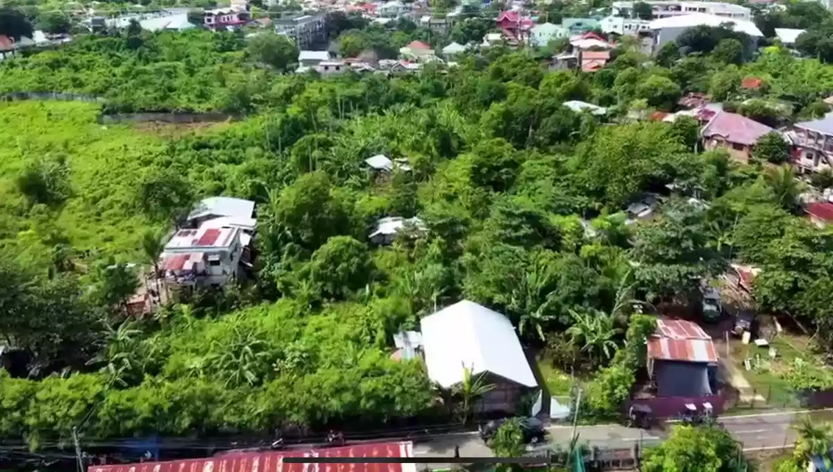 Lot for Sale (Cebu Cordova)
