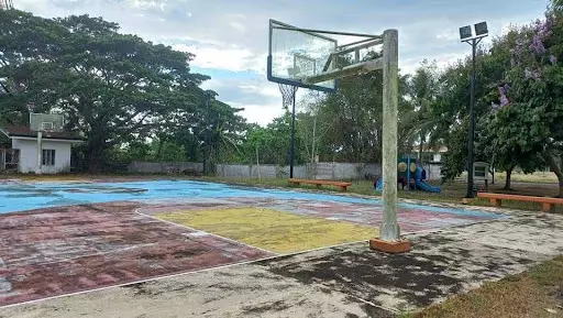 Residential Lot for Sale in Naga, Camarines Sur — Residential Lot in Phelan Drive, Pacol, Naga — Photo 5