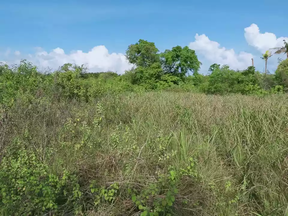 Beachfront 1,223sqm title lot for sale in Sandingan Island Loon Bohol 3k per sqm - photo 7