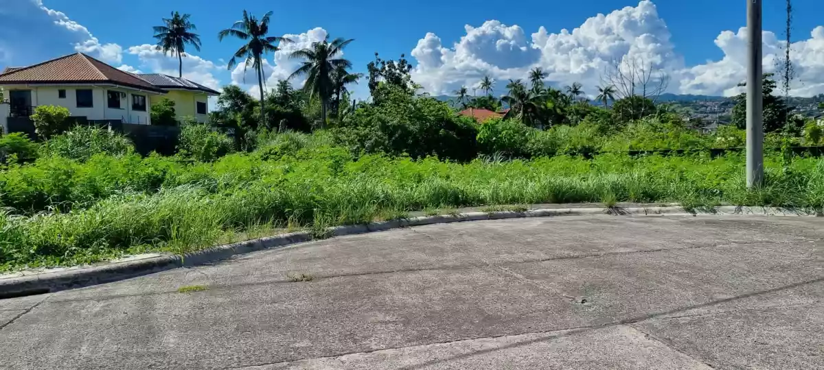 Lot for sale in Corona del Mar Subd. Talisay City - photo 4