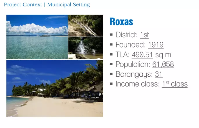 Beach Lot in Palawan For Sale — Beach Lot in Roxas, Palawan, Philippines — Photo 3