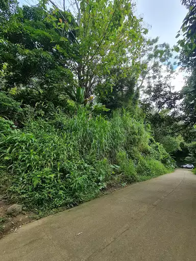 Lot for Sale — Commercial Lot in Cebu City, Cebu, Philippines — Photo 5