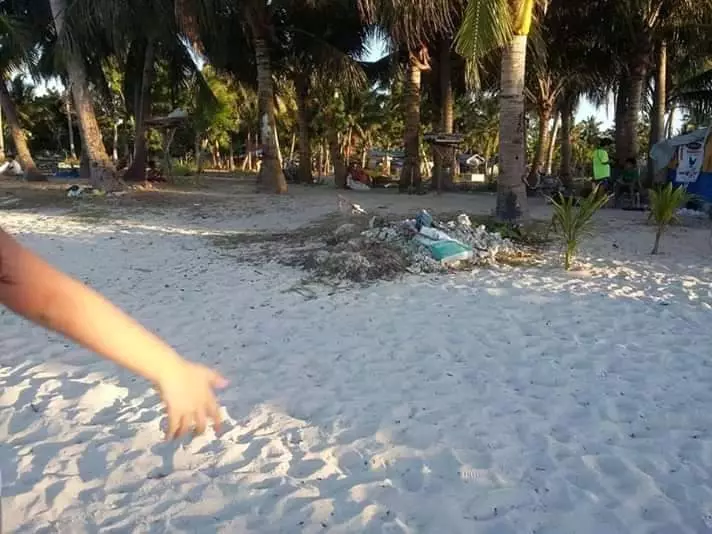 Tax declaration - photo 2