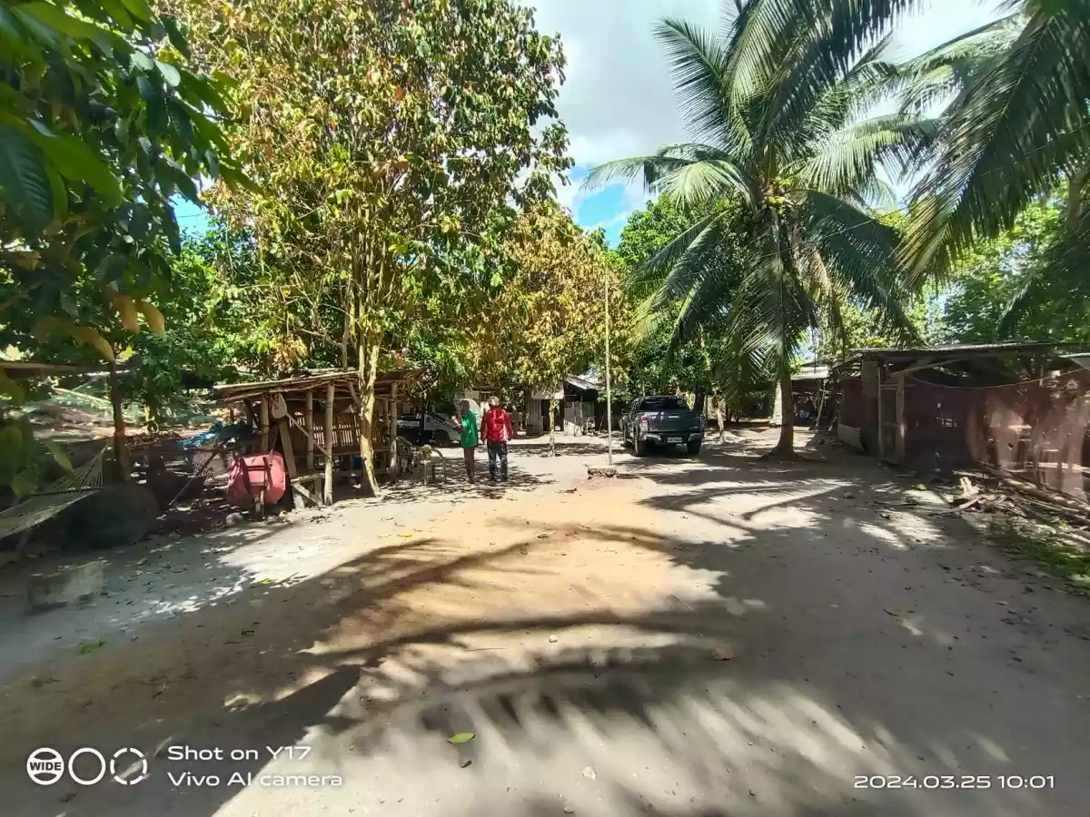 1 HECTARE FOR SALE IN POLOMOLOK — Agricultural Lot in Polomolok, South Cotabato, Philippines — Photo 7