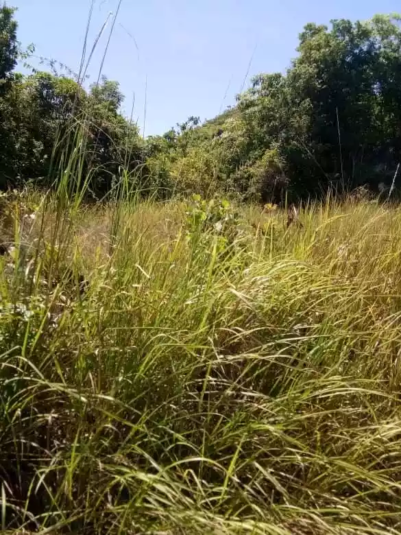 Lot for Sale - Overlooking - photo 5