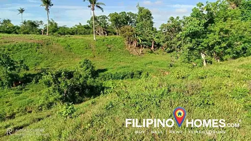 608 — Agricultural Lot in Naga, Camarines Sur, Philippines — Photo 3