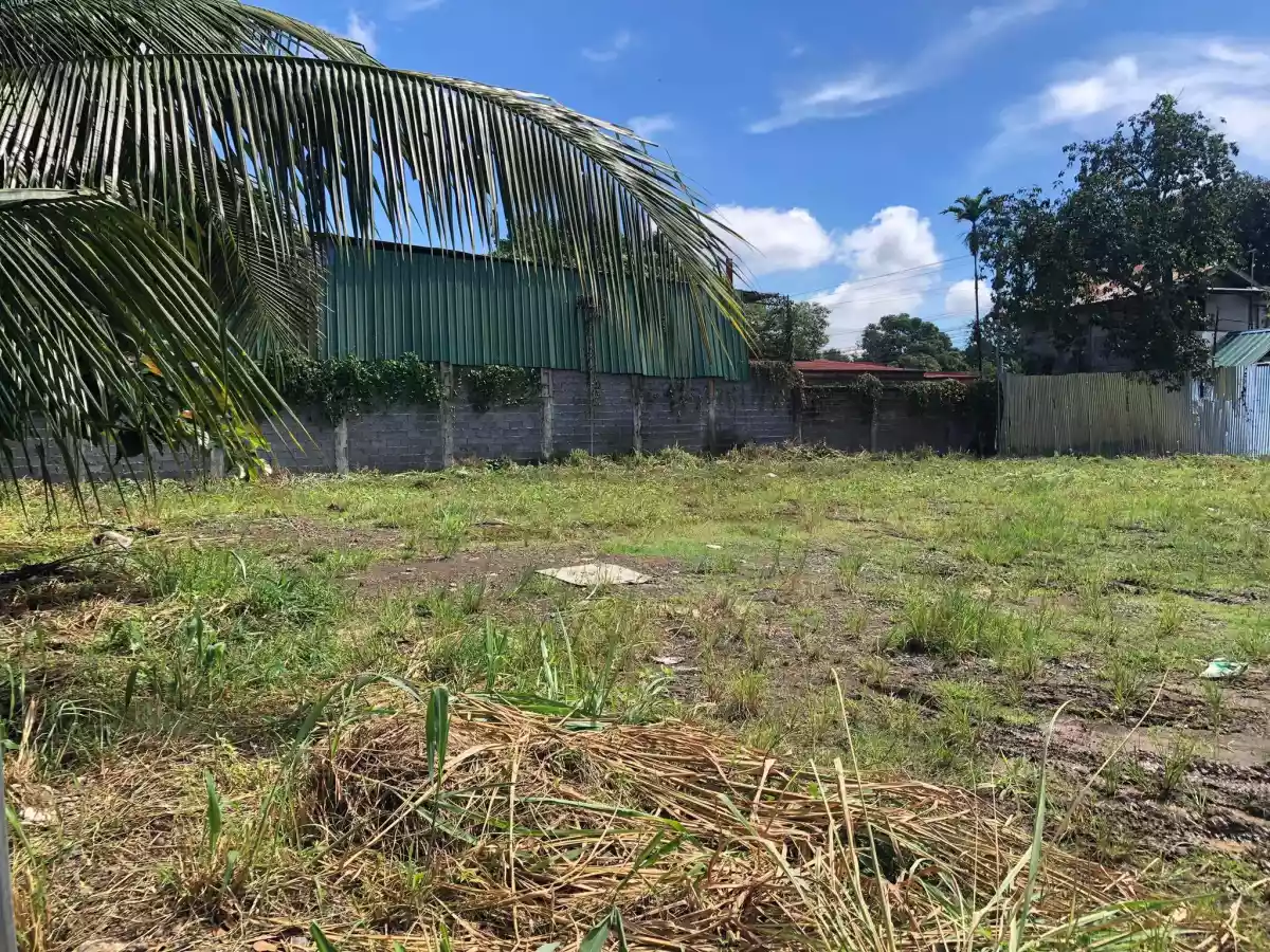 Commercial Lot in Calinan — Commercial Lot in Brgy. Calinan, Davao-Bukidnon Road, Calinan District — Photo 4