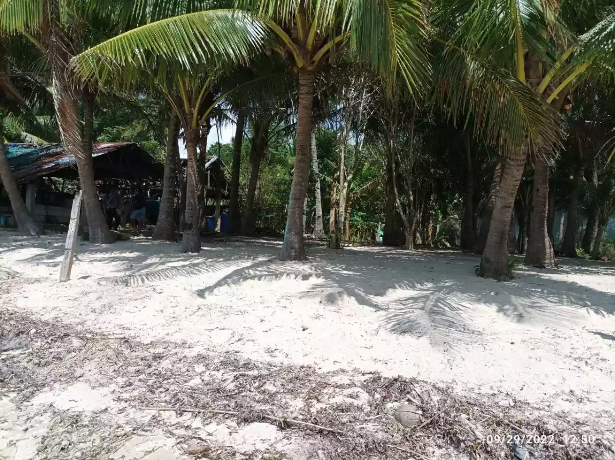 Titled White Sand Beach Lot in Bantayan Island — Beach Lot in Philippines — Photo 5
