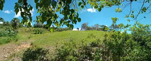 Open photo 17 of 27 — Very rush sale farm lot