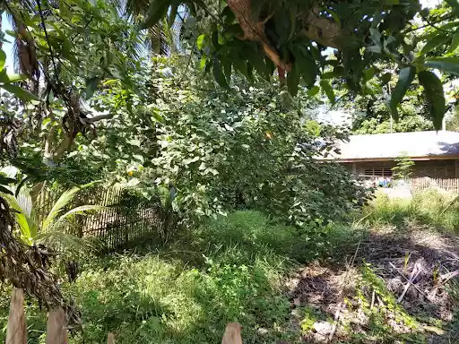 Open photo 34 of 77 — Residential title 130103-17-258