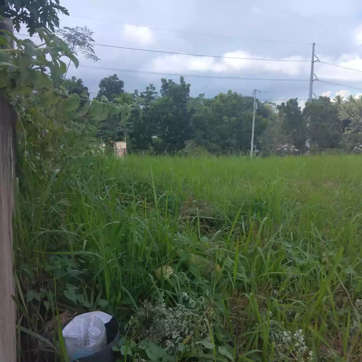 269sqm lot only for sale inside san josemaria village toledo cebu  - photo 7