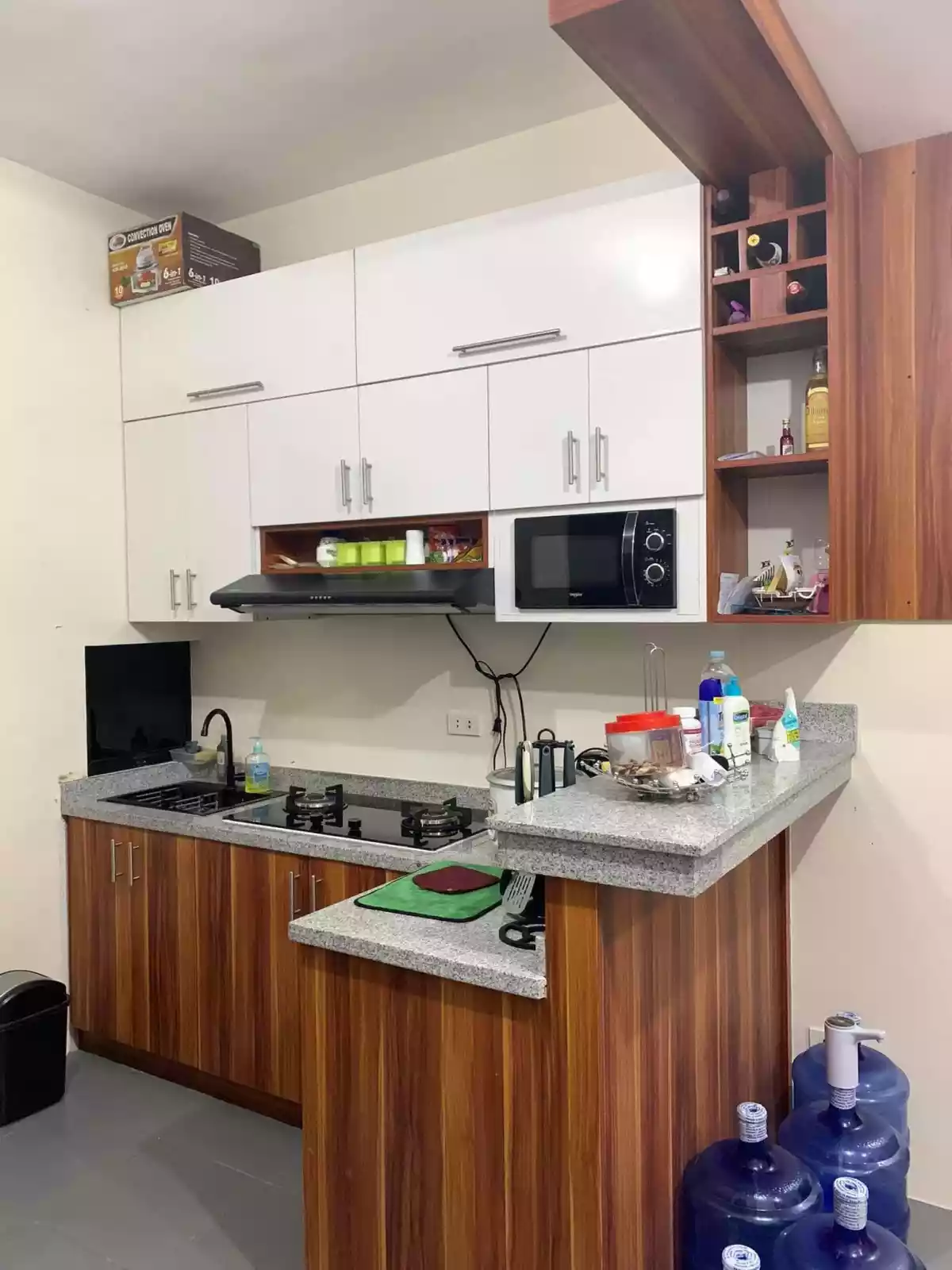 Single Detached House For Rent  - photo 4