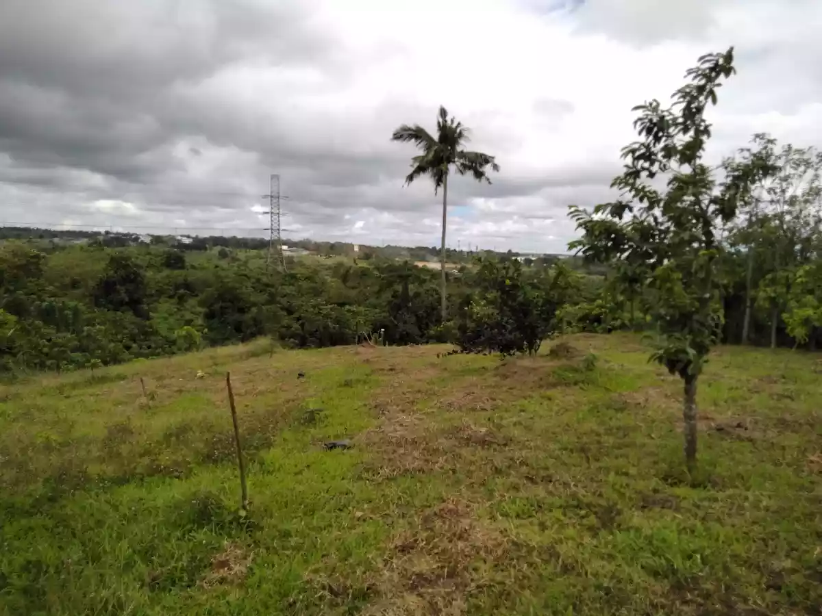 Casile HOT farm lot - photo 5