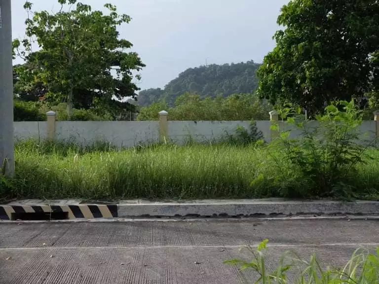 Las Palmas Verdes Subdivision Lot for sale — Residential Lot in Buhangin, Davao City, Davao del Sur — Photo 4