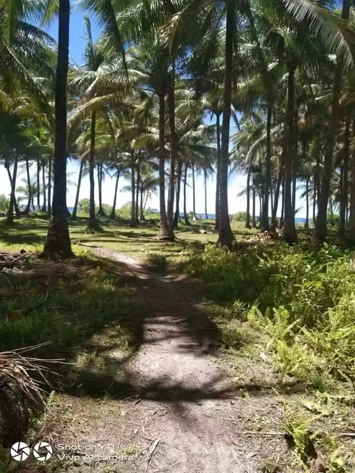 BEACH LOT FOR SALE IN TANGBO, STA. MONICA, SIARGAO ISLANDS - photo 4