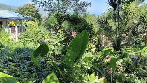 Open photo 13 of 13 — Agricultural lot for sale 
