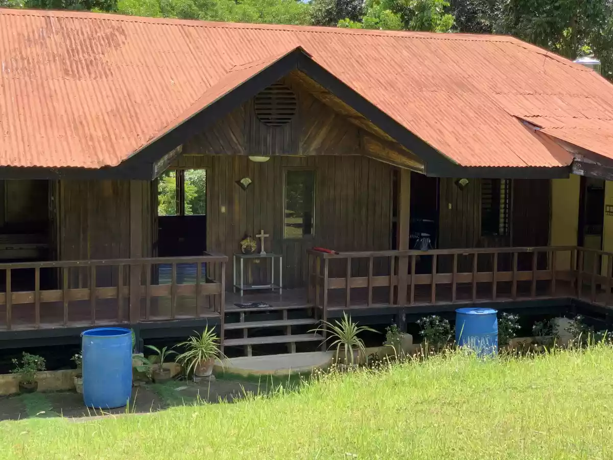 Farm lot in Napo, Carcar for sale  - photo 5