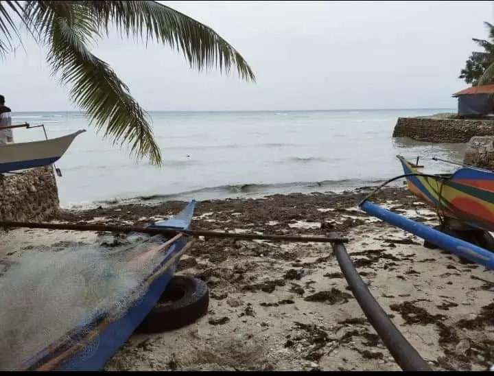Beach Lot for Sale in Oslob Cebu