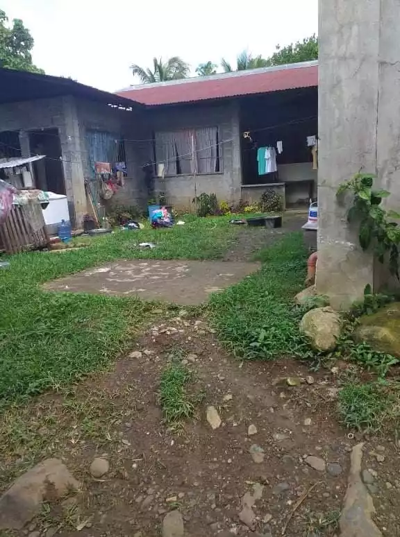 Residential House and Lot - photo 4
