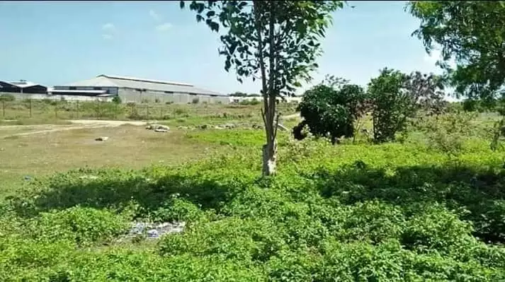 For Sale 2 Hectares Commercial Lot in Lapulapu - photo 6
