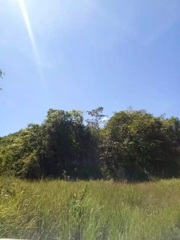 Lot for Sale - Overlooking - photo 4
