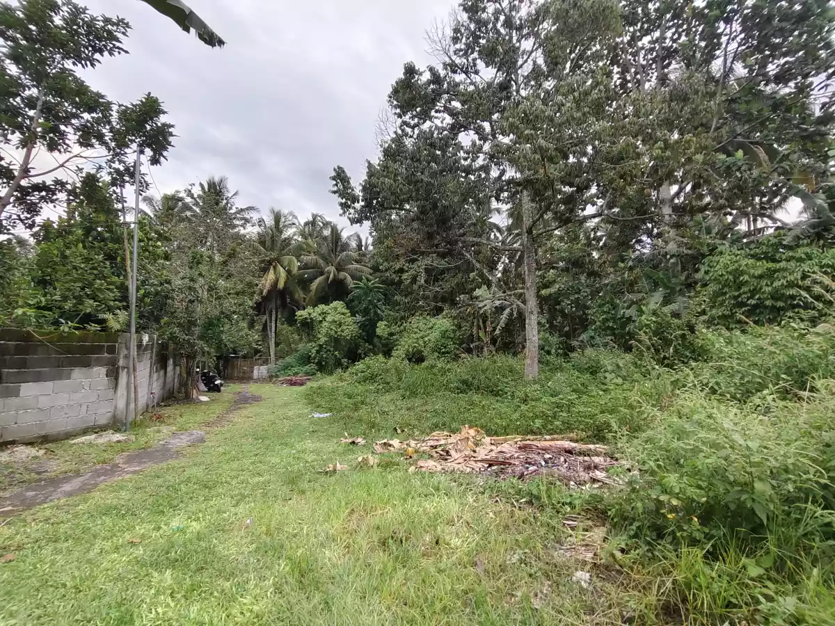 Residential Lot for Sale in Polomolok - photo 3