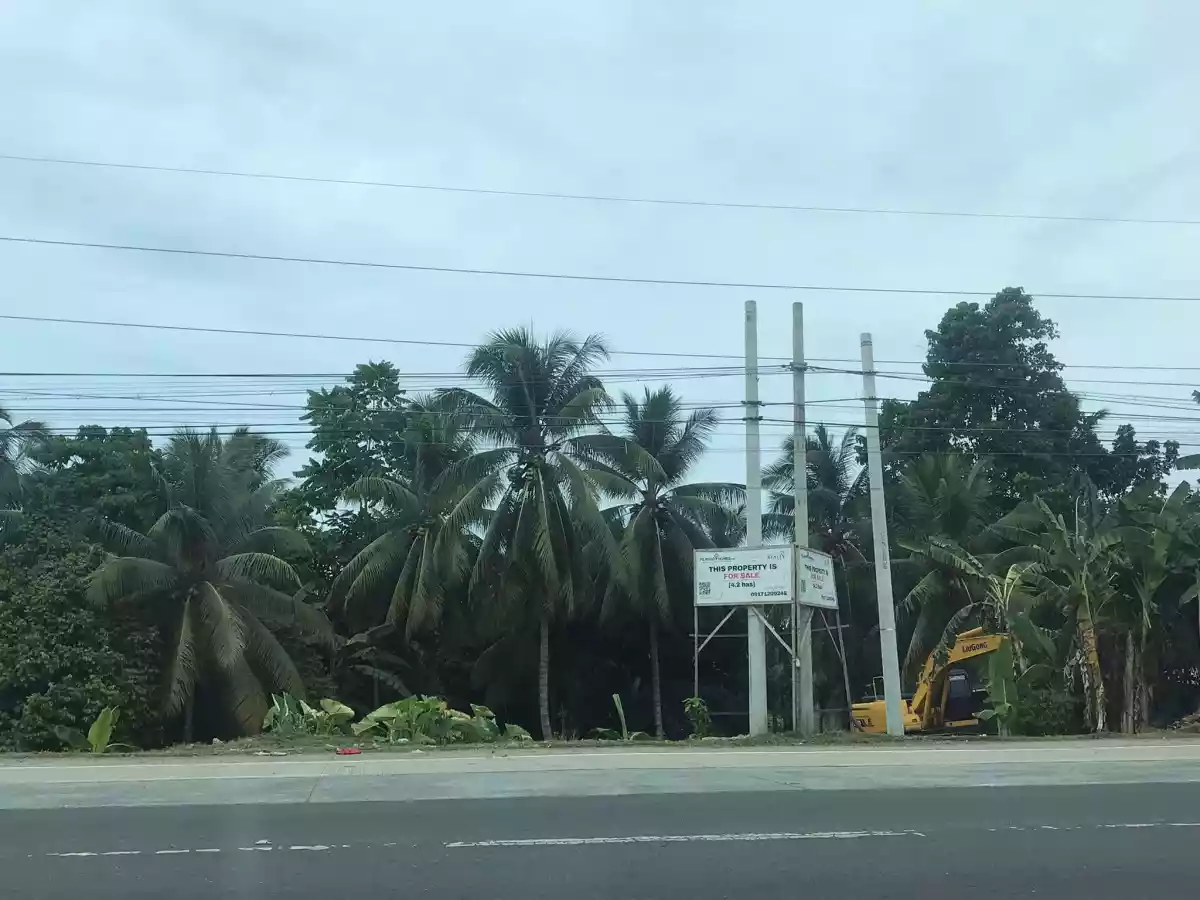 LOT FOR SALE INAWAYAN TORIL - photo 5