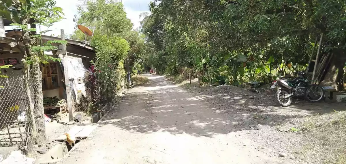 Residential Lot For Sale - photo 6