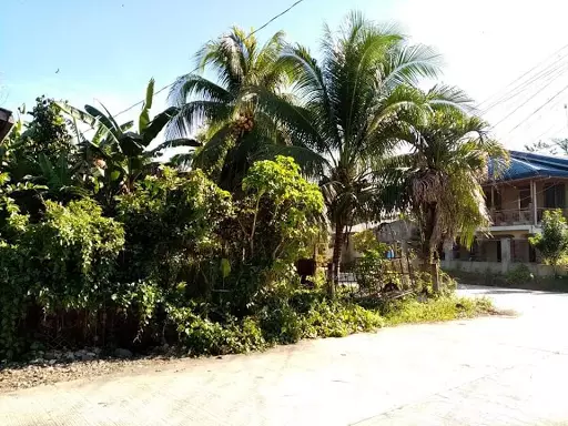200sqm Corner Lot Green Village — Residential Lot in Bayugan City, Agusan del Sur, Philippines — Photo 6