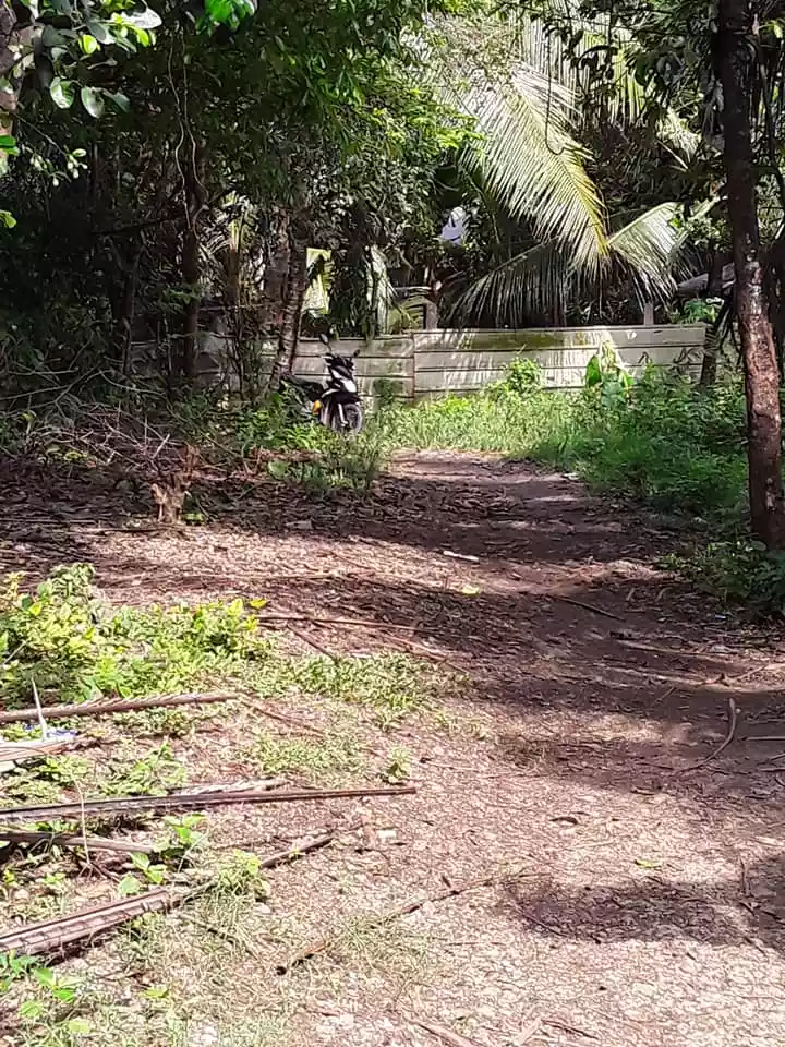 Residential Lot for Sale Compostela, Cebu - photo 2