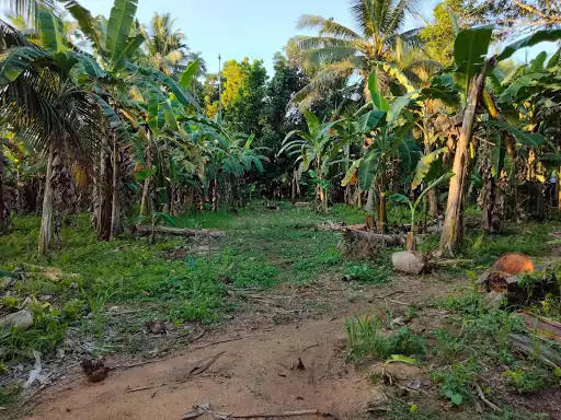 Clean Title — Residential Lot in Toril, Davao City, Davao del Sur — Photo 2