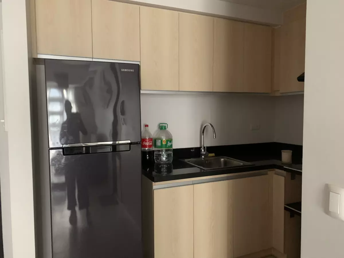 Solinea one bedroom with parking for sale  - photo 4