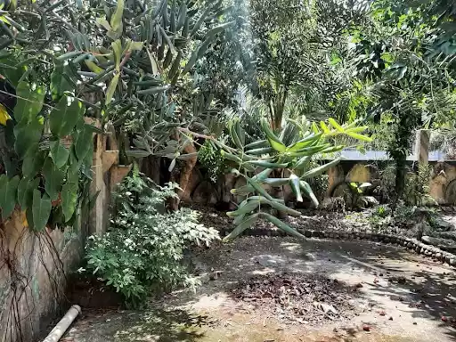 Spacious Bungalow House and Lot in Talisay — House and Lot in Antuwanga, Talisay, Cebu — Photo 5